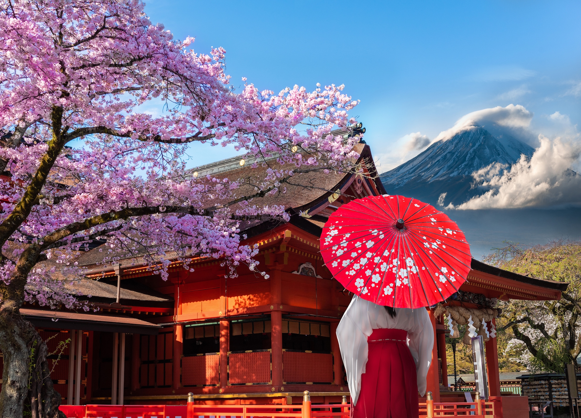 Mount Fuji beyond a Japanese shrine and cherry blossoms